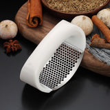 Stainless Steel Garlic Press
